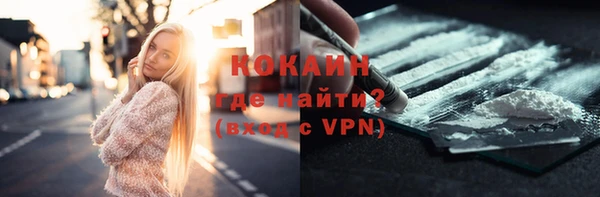 сатива Абинск