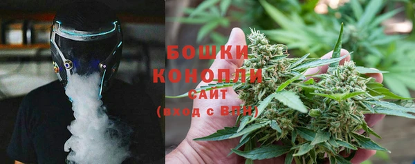 PSILOCYBIN Абдулино